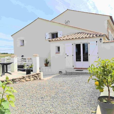 Gites A Moussan ,Domaine De La Barque A 5 Mins De Narbonne ภายนอก รูปภาพ