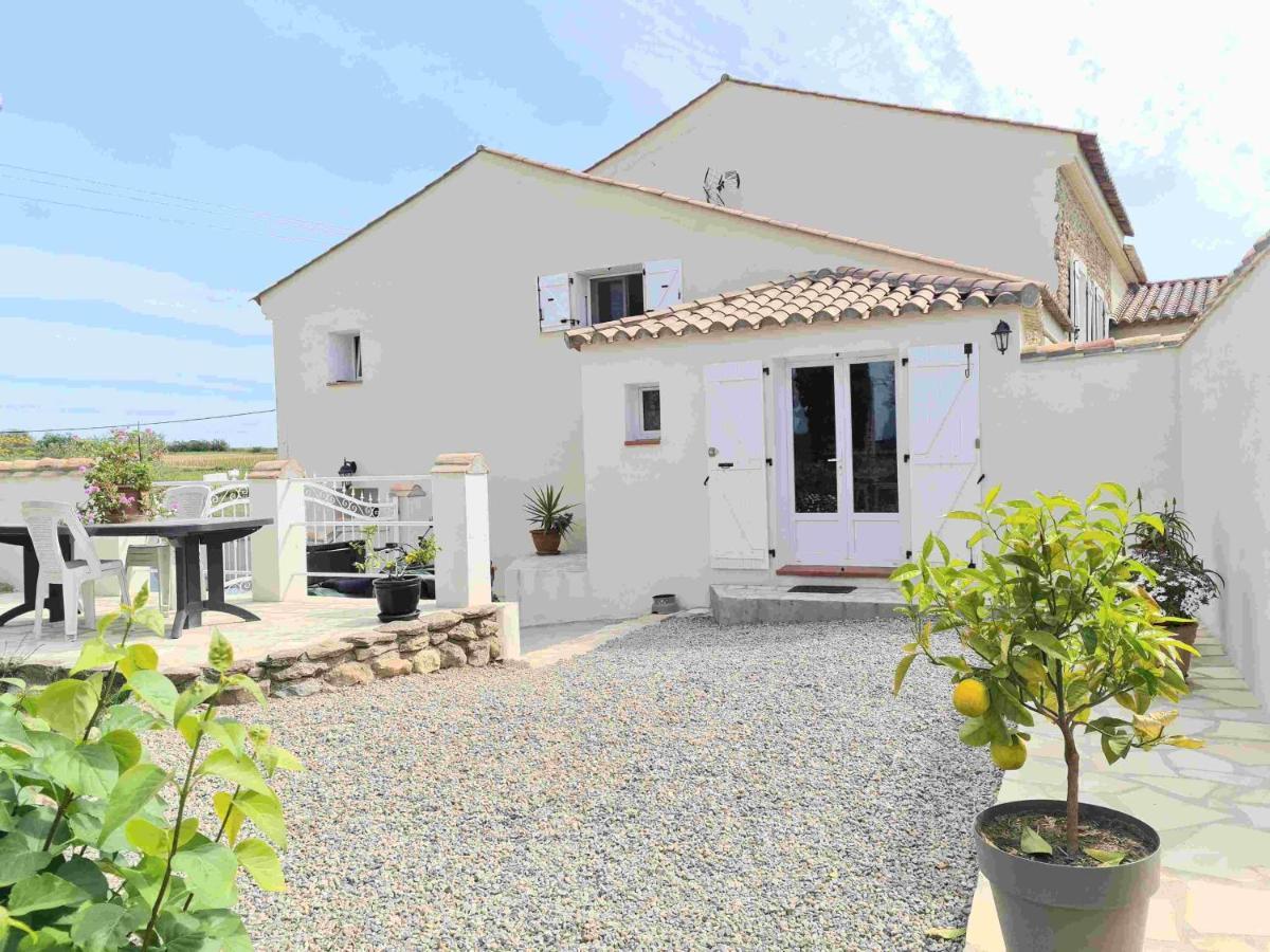 Gites A Moussan ,Domaine De La Barque A 5 Mins De Narbonne ภายนอก รูปภาพ