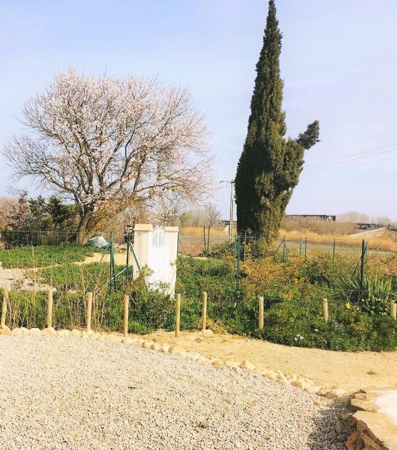 Gites A Moussan ,Domaine De La Barque A 5 Mins De Narbonne ภายนอก รูปภาพ