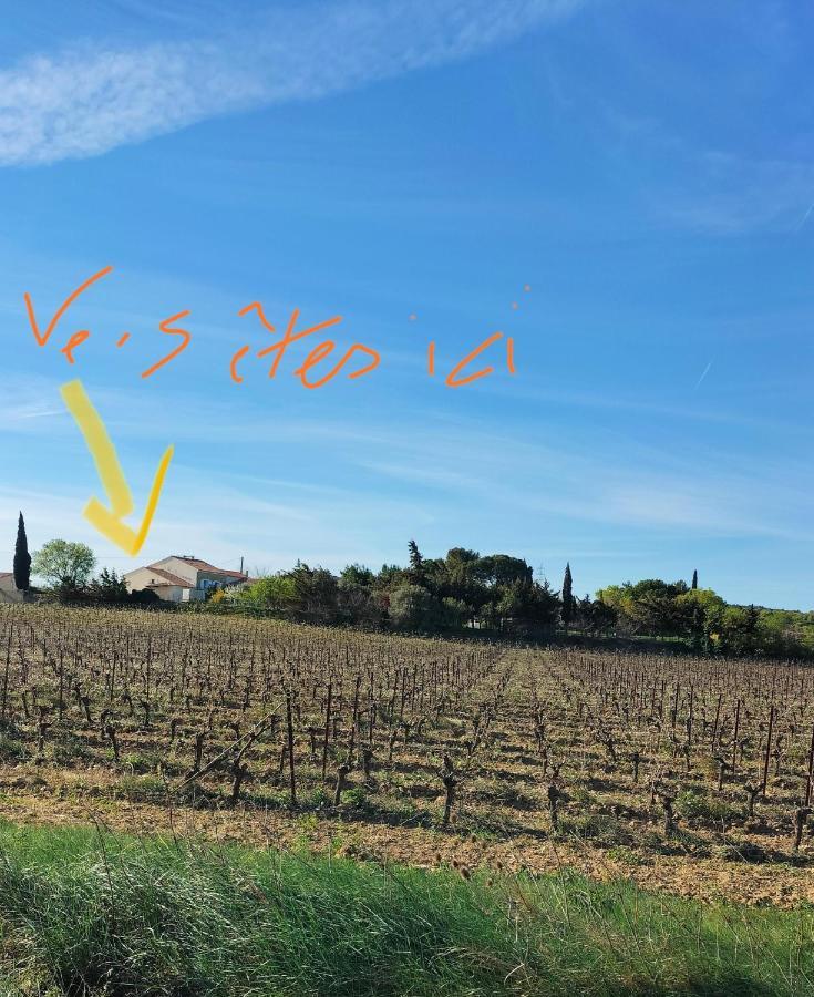 Gites A Moussan ,Domaine De La Barque A 5 Mins De Narbonne ภายนอก รูปภาพ